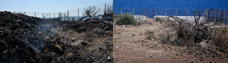 Οικόπεδο που σαρώθηκε από τη φωτιά