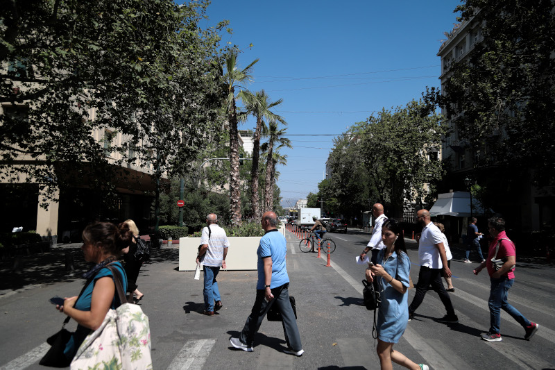 Φοίνικες στην Πανεπιστημίου