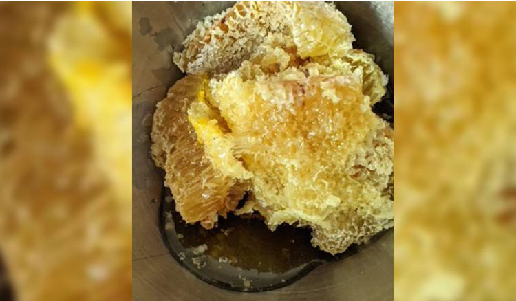 27 κιλά κερήθρας και γλυκό μέλι απέκτησε ο ιδιοκτήτης του σπιτιού μετά την αφαίρεση της αποικίας των μελισσών