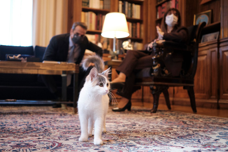 Αισθητή έκανε την παρουσία της η γάτα της Προέδρου της Δημοκρατίας στη συνάντηση με τον πρωθυπουργό 
