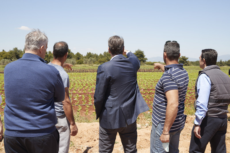 Επίσκεψη του Κυριάκου Μητσοτάκη σε αγρόκτημα στον Αυλώνα Αττικής 