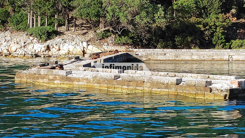 Προβλήτα στη Νήσο Σπάρτη