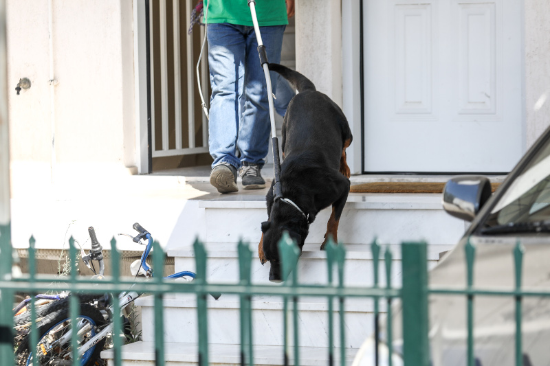 Το ροντβάιλερ απομακρύνεται με την βοήθεια υπαλλήλων της Φιλοζωικής
