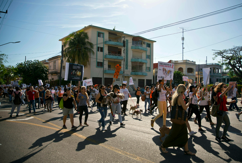 Άνθρωποι διαδηλώνουν στον δρόμο της Αβάνας μαζί με τους σκύλους τους