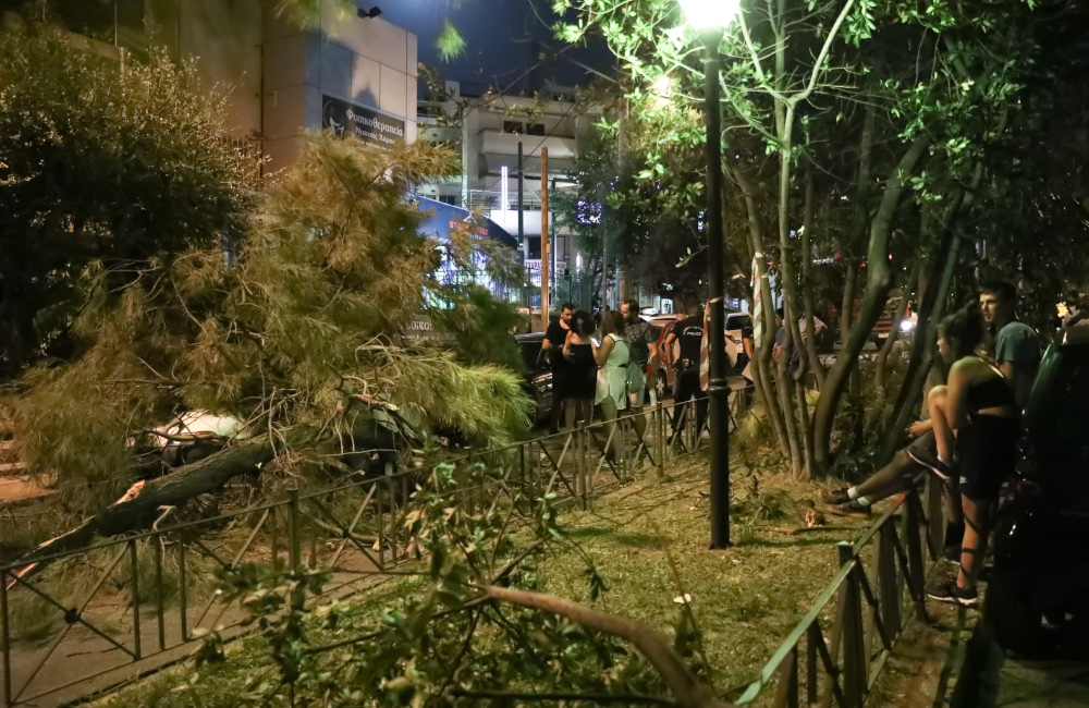 Περαστικοί στο Χαλάνδρι δίπλα σε δέντρο που έπεσε