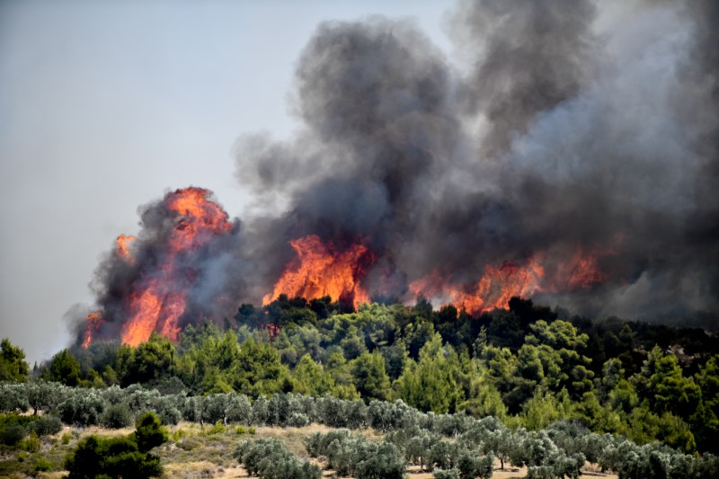 Φωτιά στις Κεχριές