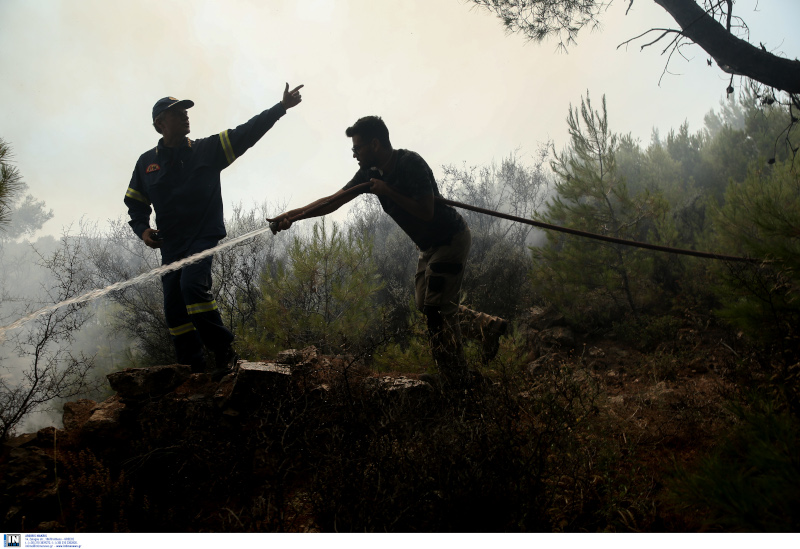 Πυροσβέστες δίνουν μάχη με τις φλόγες