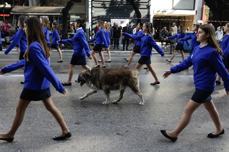 Σκύλος ανάμεσα σε μαθήτριες στην παρέλαση