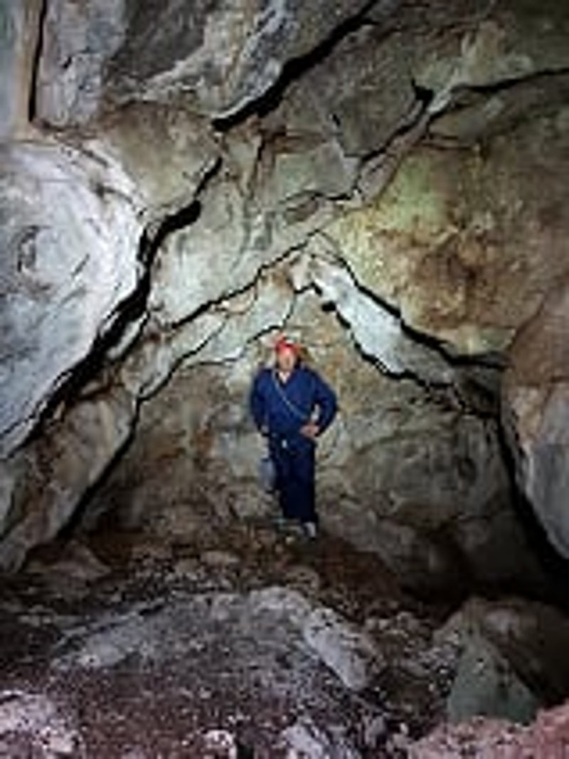 Ο Αντρέας Κορίκης στην κύρια αίθουσα