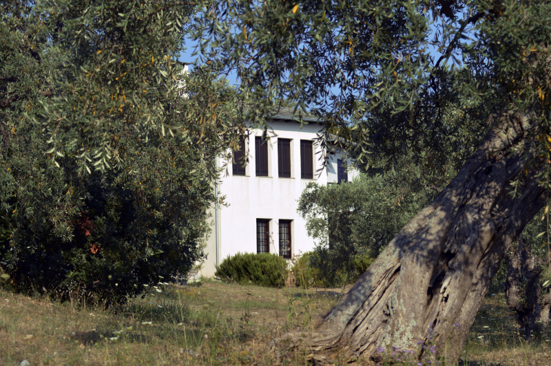 πηλιο