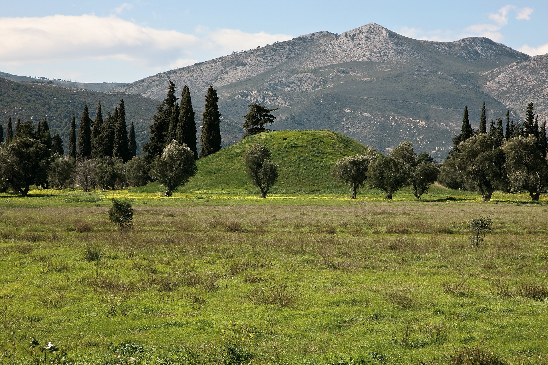 μαραθωνας 