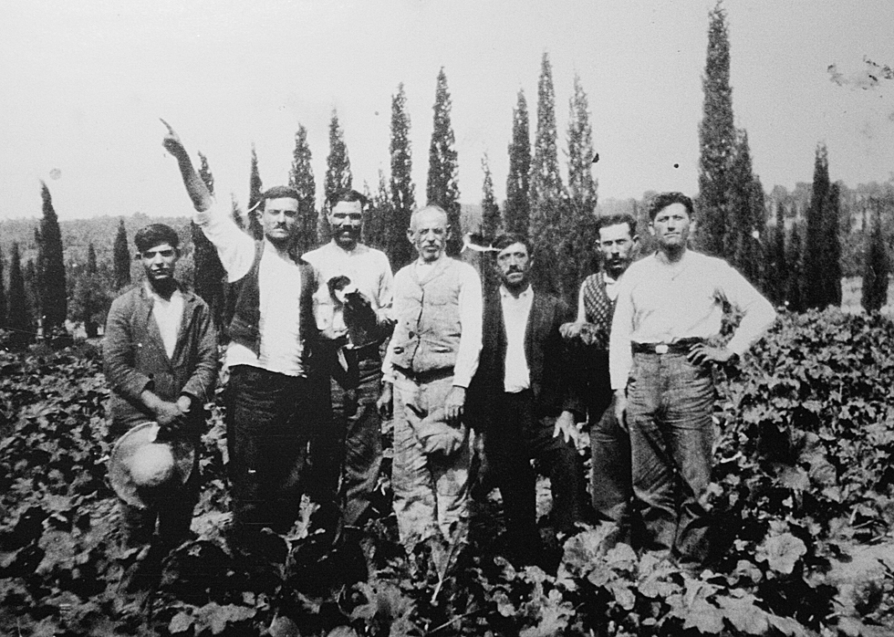 Εργάτες στο κτήμα Βορρέ. Κατοχή.