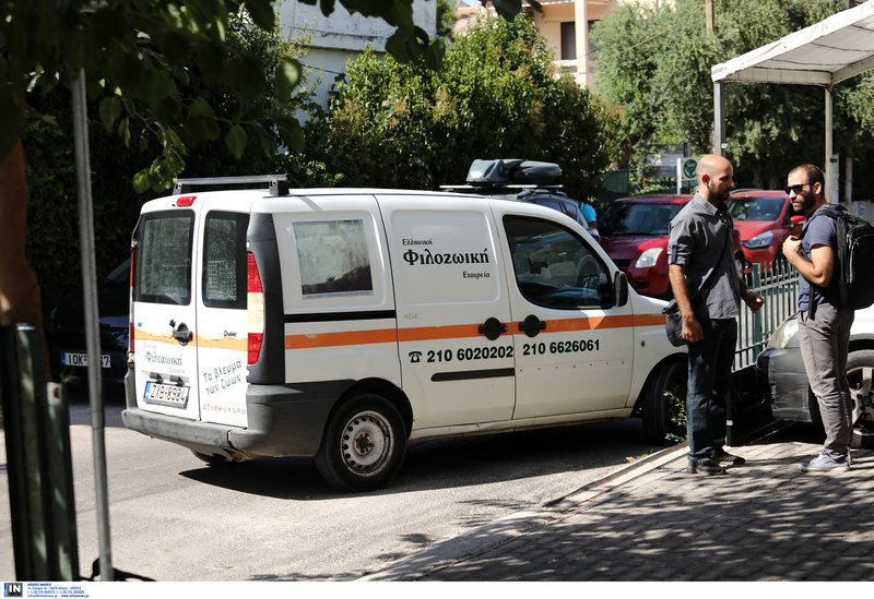 Βανάκι της φιλοζωικής στο σημείο