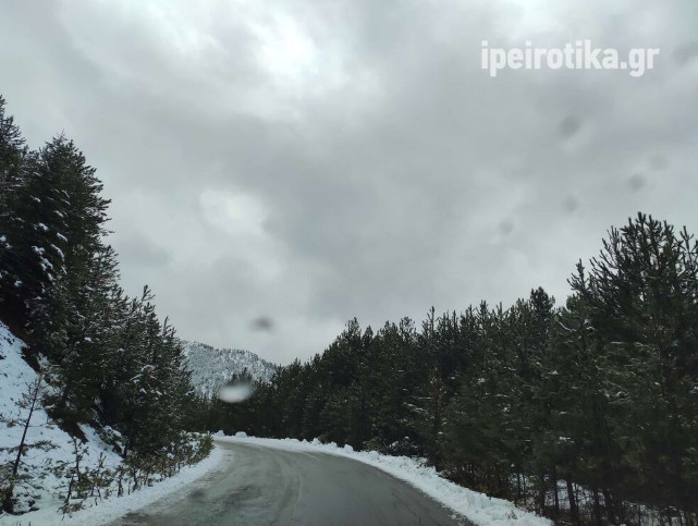 Βασιλίτσα χιονισμένη