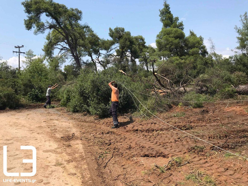 Εργασίες αποκατάστασης της ηλεκτροδότησης στη Χαλκιδική Φωτογραφία: life-events.gr