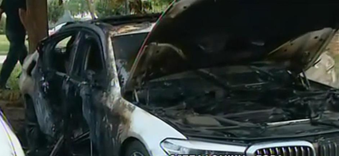 ÎÎ±Î¼Î¼ÎµÎ½Î¿ Î±ÏÏÎ¿ÎºÎ¯Î½Î·ÏÎ¿ 