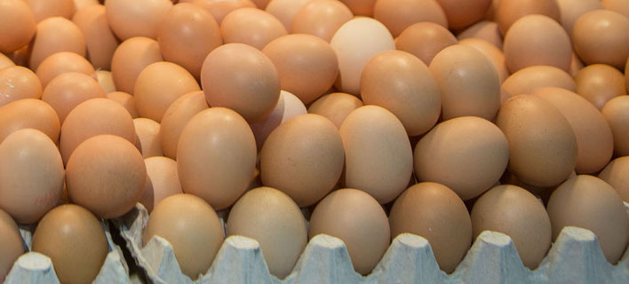 Αποτέλεσμα εικόνας για αυγα