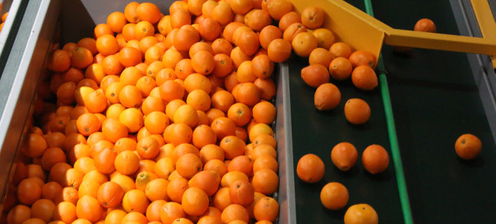 Σε κίνδυνο οι εξαγωγές από διακίνηση ατυποποίητων φρούτων και λαχανικών σε γειτονικές χώρες