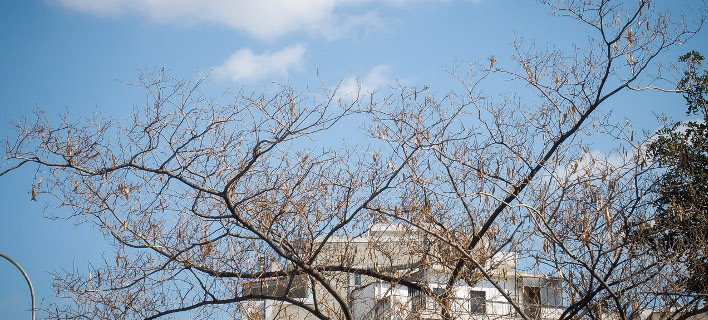 Πτώση της θερμοκρασίας σήμερα -Σε ποιες περιοχές θα βρέξει
