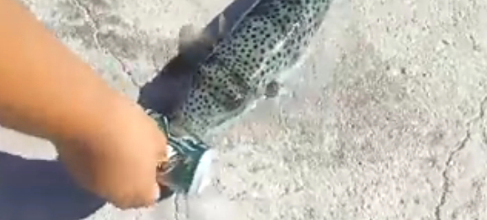 ÎαγοκÎÏÎ±Î»Î¿Ï ÏÏην ÎÏήÏη