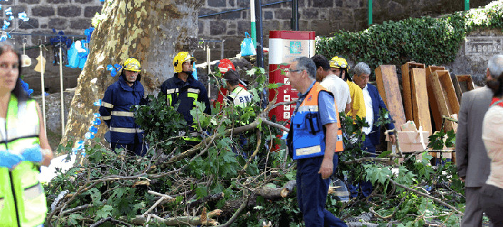 Δέντρο καταπλάκωσε πιστούς -Τουλάχιστον 11 νεκροί και 35 τραυματίες/ Φωτογραφία: Twitter