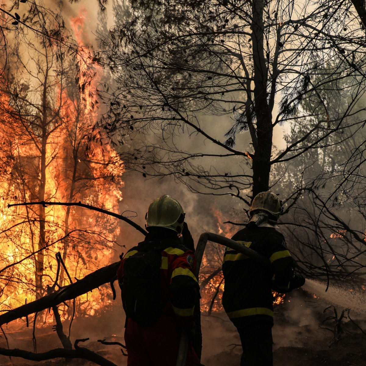 Φωτιά στην Εύβοια: Πύρινο μέτωπο απειλεί το χωριό Ασμήνιo, μήνυμα από το 112 για εκκένωση | ΕΛΛΑΔΑ | iefimerida.gr