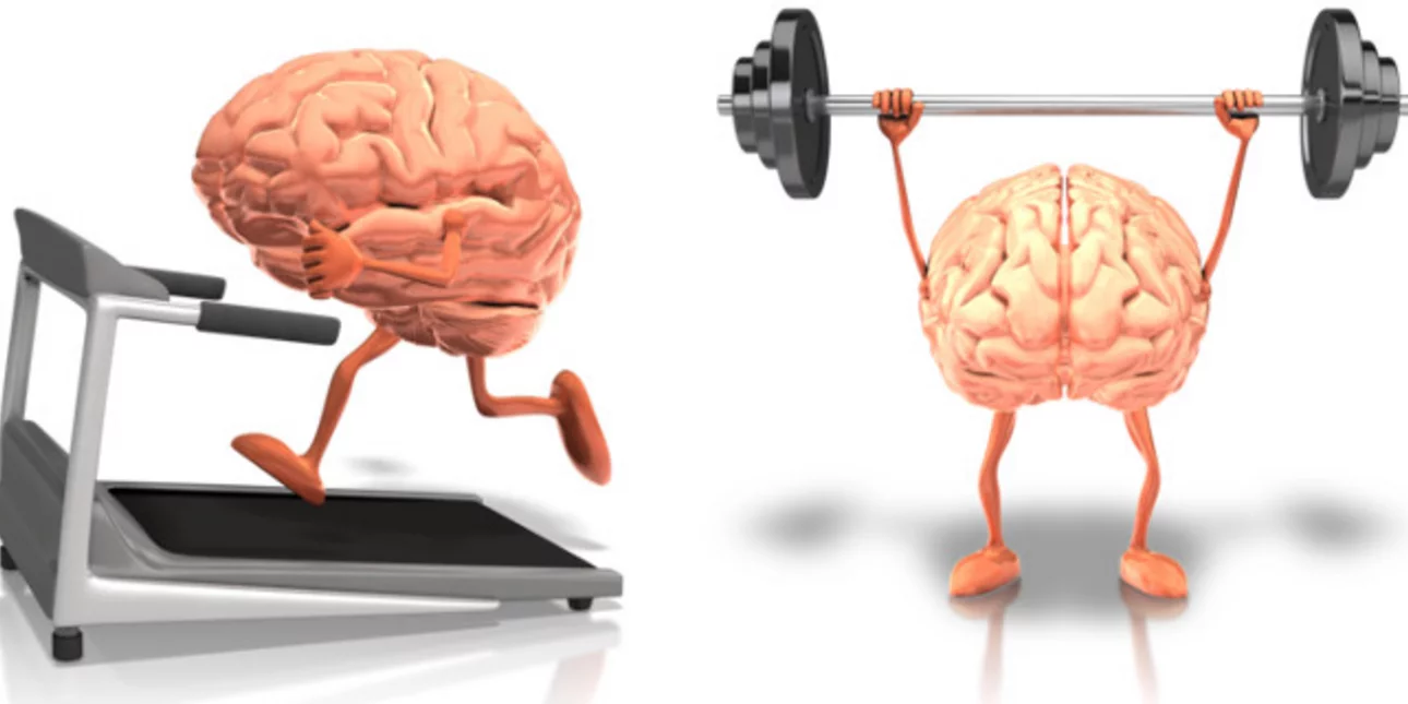 Повышенная умственная активность. Умственная и физическая нагрузка. Мозг это мышца. Физическая нагрузка и мозг. Тренировка мозга.