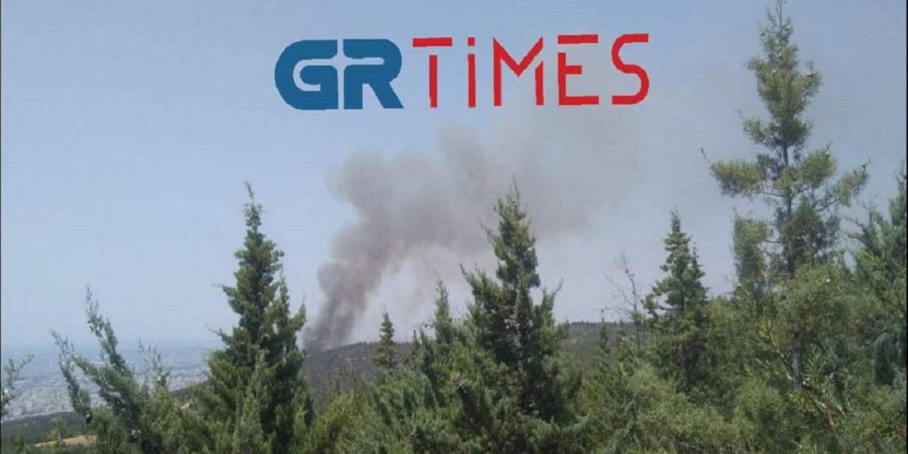 Θεσσαλονίκη: Φωτιά τώρα στο δάσος του Σέιχ Σου [βίντεο ...