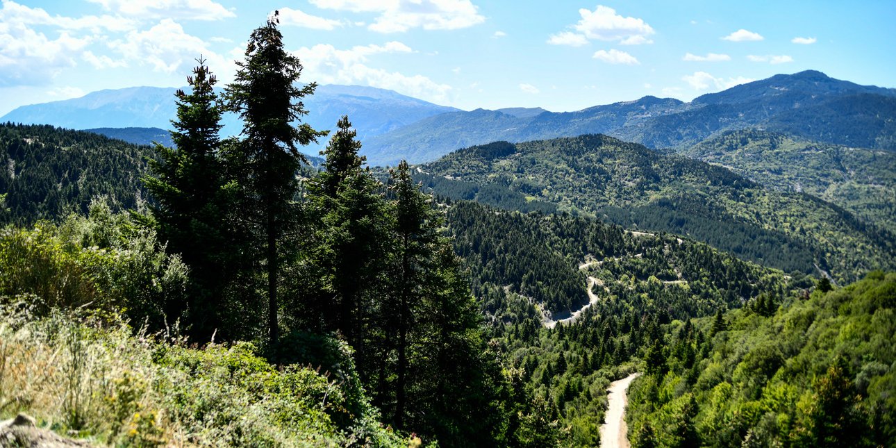 Αναζητούν εθελοντές για να ζήσουν δωρεάν στα βουνά: Δείτε την αμοιβή και τι θα κάνετε