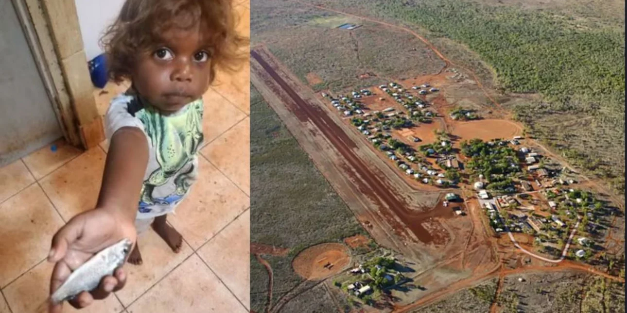 australia fish rain collage.jpg