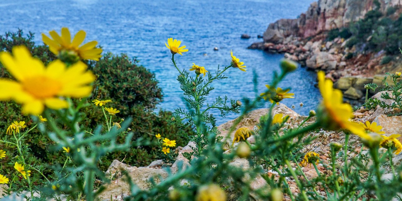 Μυστήριο με τον καιρό του Πάσχα: Τι βλέπουν οι μετεωρολόγοι