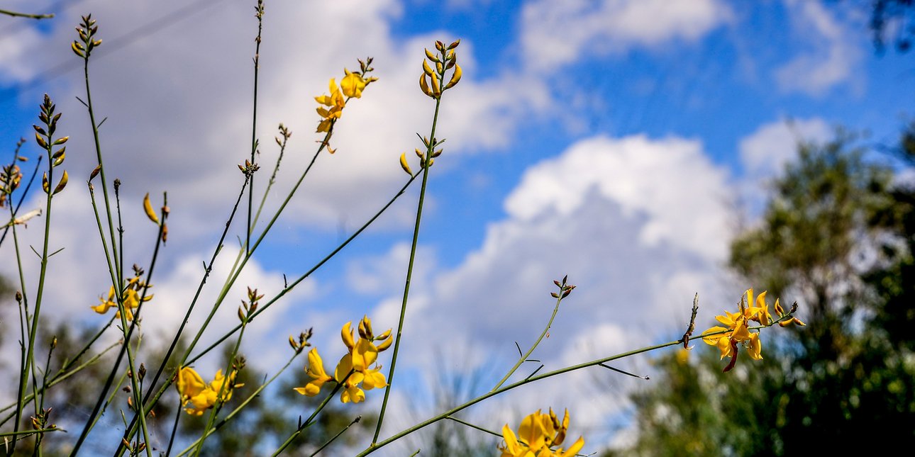 Καιρός: Ανεβαίνει κι άλλο η θερμοκρασία σήμερα -Πρωτομαγιά με... «ψυχρή εισβολή»