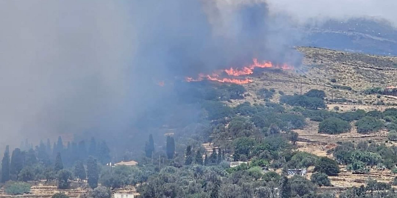 Φωτιά σε δασική έκταση στην Άνδρο
