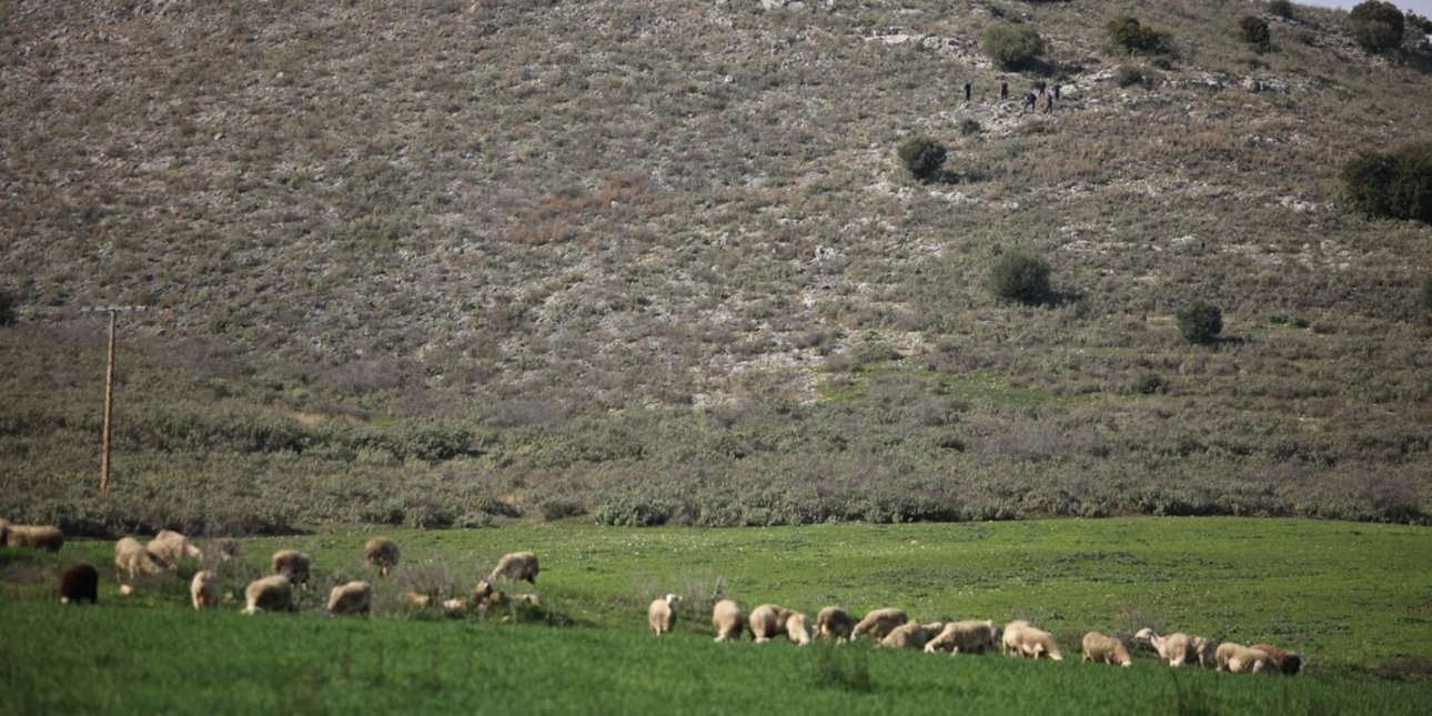 Κοντά σε κτηνοτροφική μονάδα στον Τύρναβο εντοπίστηκε η σορός