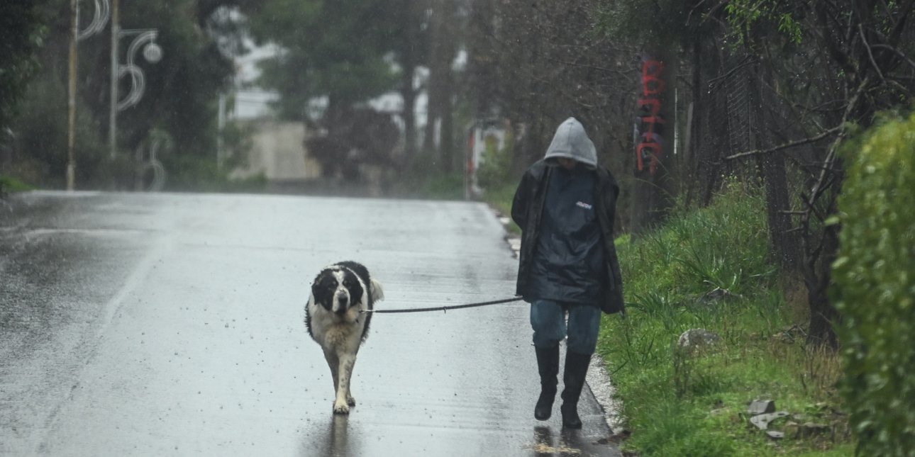 Βόλτα σκύλου στη βροχή
