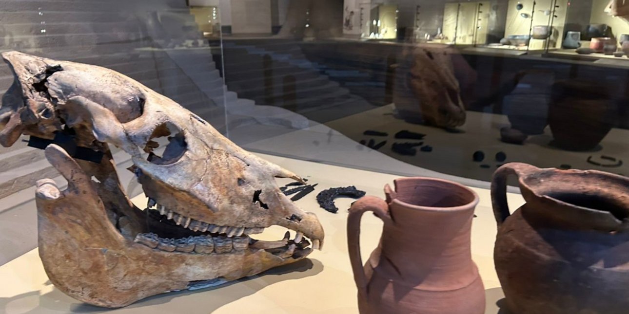  «Στη Σπηλιά: Ιστορίες από το σκοτάδι στο φως»