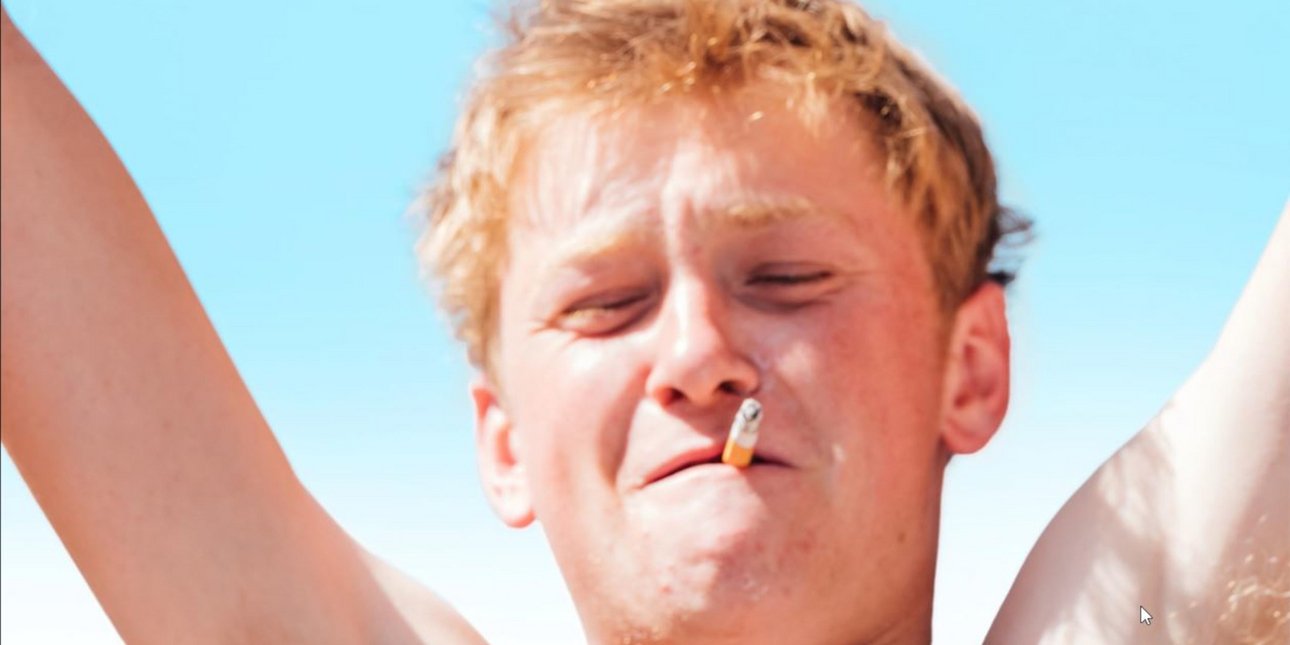 ταινία vingt dieux