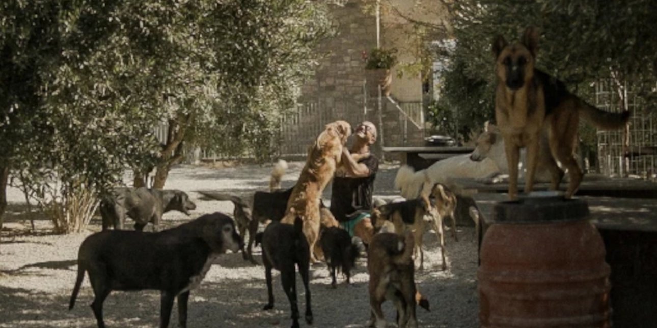 Η συγκινητική ιστορία του Takis Shelter 