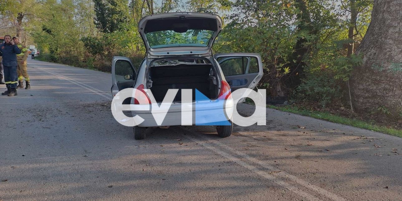 Το αυτοκίνητο που έπεσε σε πλάτανο στην Εύβοια