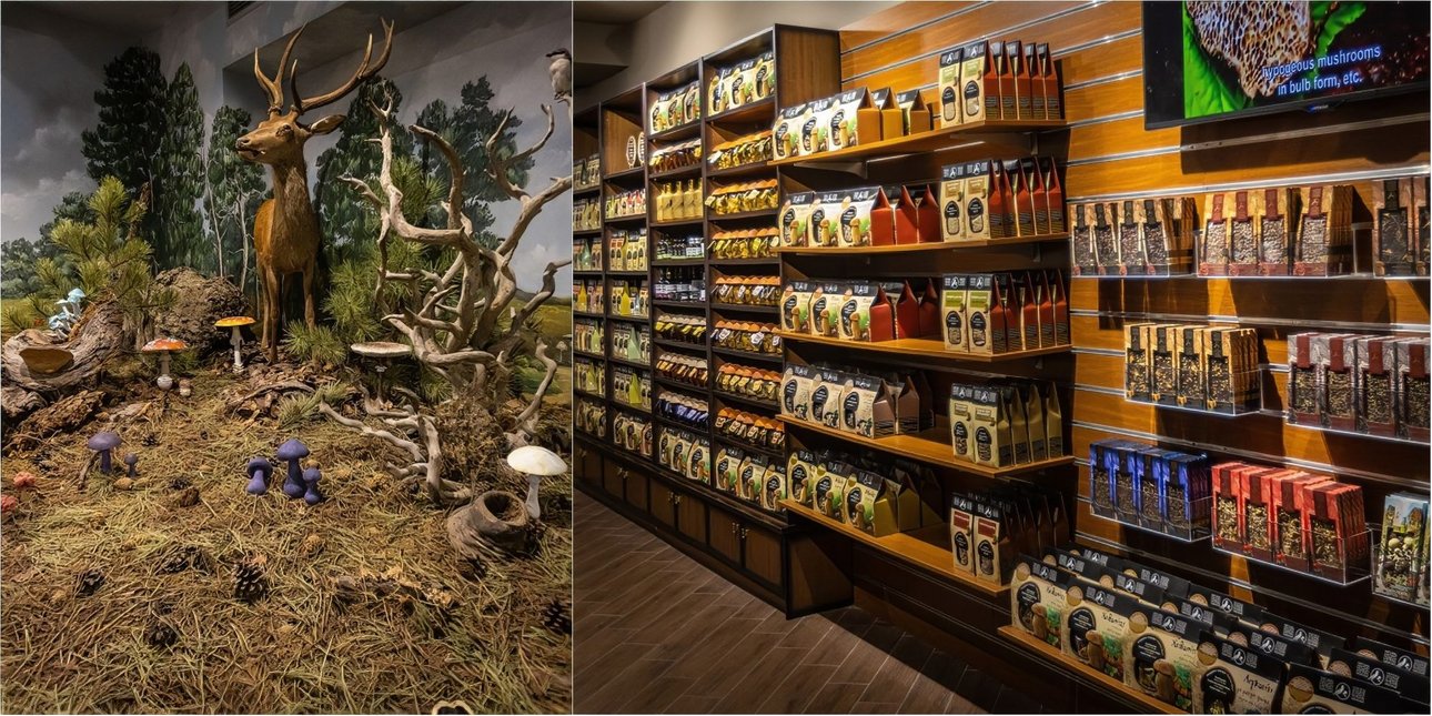 Μουσείο Φυσικής Ιστορίας Μετεώρων και Μουσείο Μανιταριών