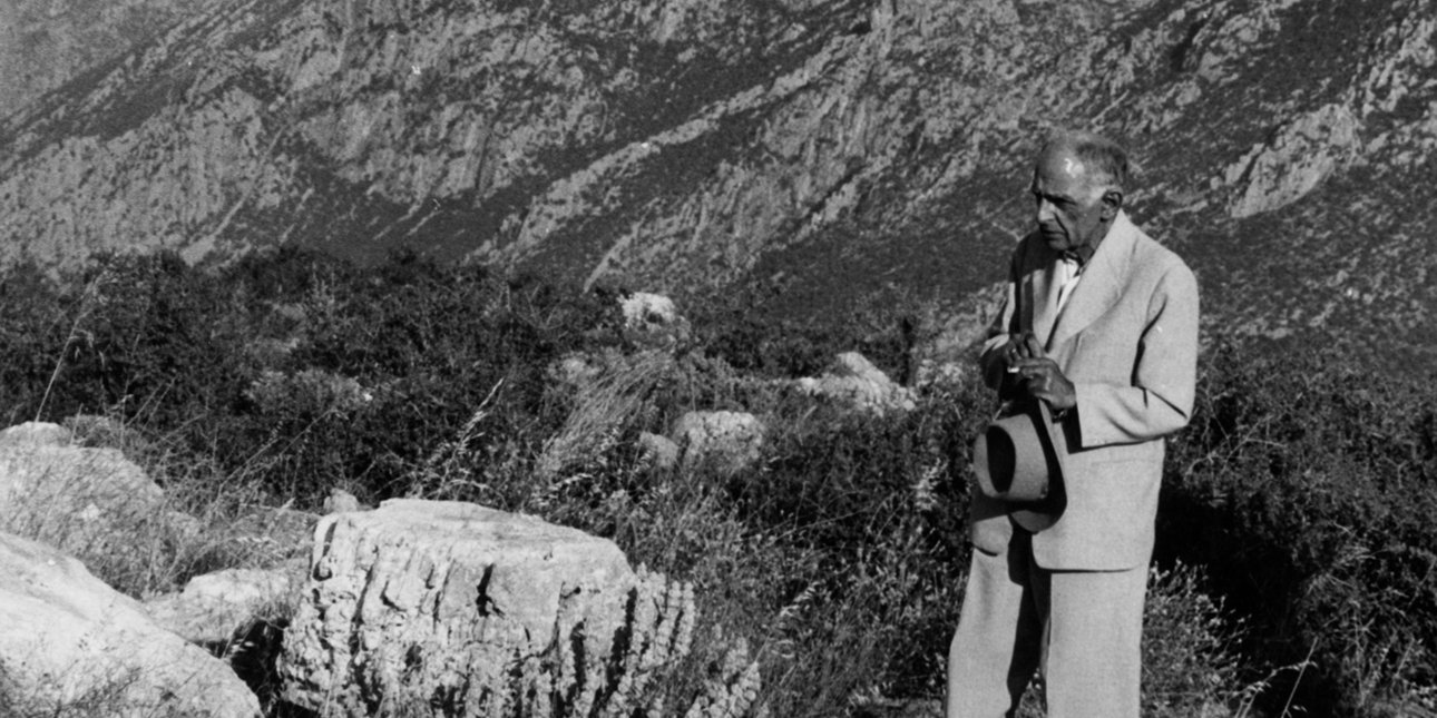 Δημήτρης Πικιώνης