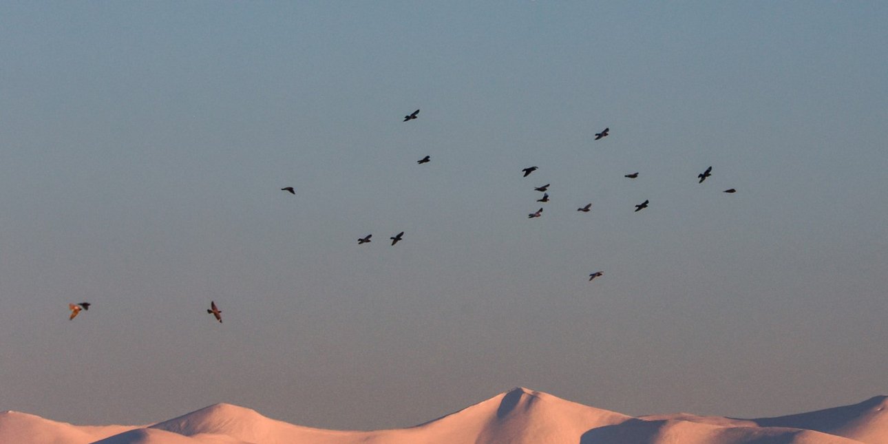 Fourteen Alpine Rescuers and Thermal Drones Search Mount Olympus for Missing Spanish Climber, 25