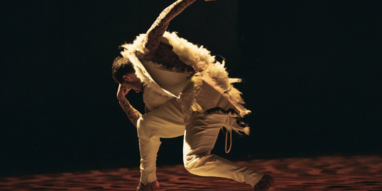 παράσταση των Ballet du Grand