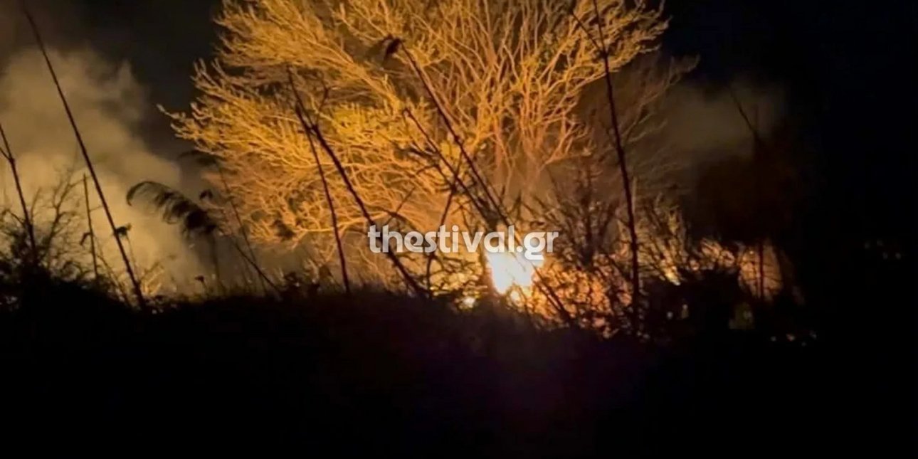 Θεσσαλονίκη: Σε ύφεση η φωτιά σε ξερά χόρτα στη Χαλάστρα [βίντεο]