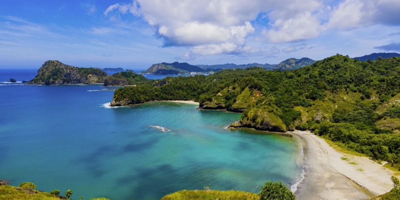 Σε αυτά τα ιαπωνικά νησιά, η εξαφάνιση 131 γατών έφερε  την επιστροφή ενός πουλιού