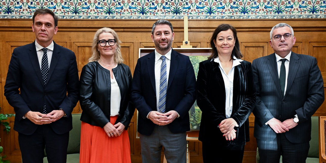 Συνάντηση Ανδρουλάκη με εισηγήτριες της Επιτροπής του Συμβουλίου της Ευρώπης