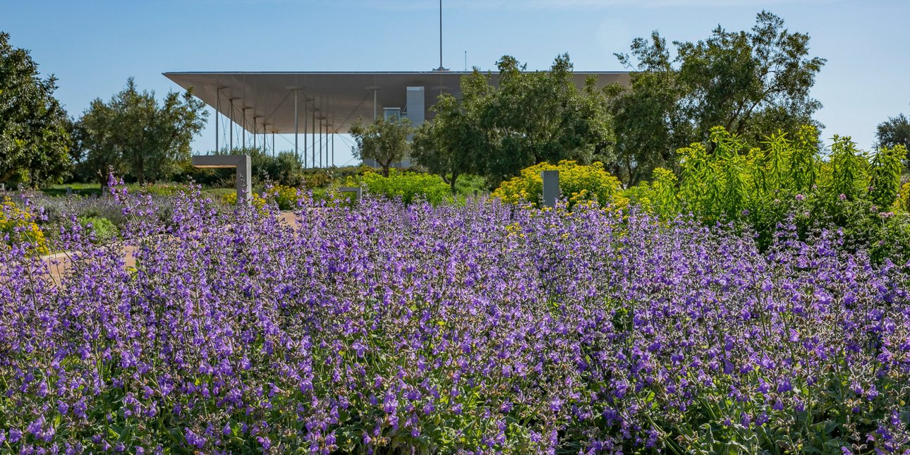 «Πιάνουμε τον Μάη» στην Αθήνα: Με Πασχάλη στο ΚΠΙΣΝ, μαθήματα κηπουρικής και πικ-νικ στην Ακαδημία Πλάτωνος