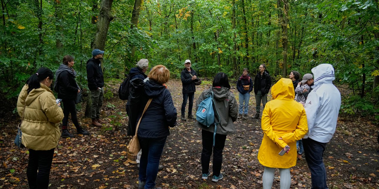 Τραγωδία σε κυνήγι πασχαλινού αβγού στη Γερμανία  - Δέντρο καταπλάκωσε μαμάδες με παιδιά -Τουλάχιστον 3 νεκροί