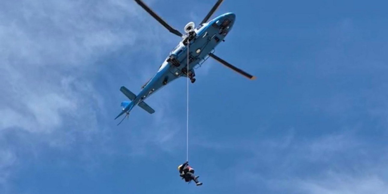 Πεζοπόρος στις ΗΠΑ χαροπαλεύει μετά από επίθεση σμήνους μελισσών –Δέχθηκε πάνω από 100 τσιμπήματα