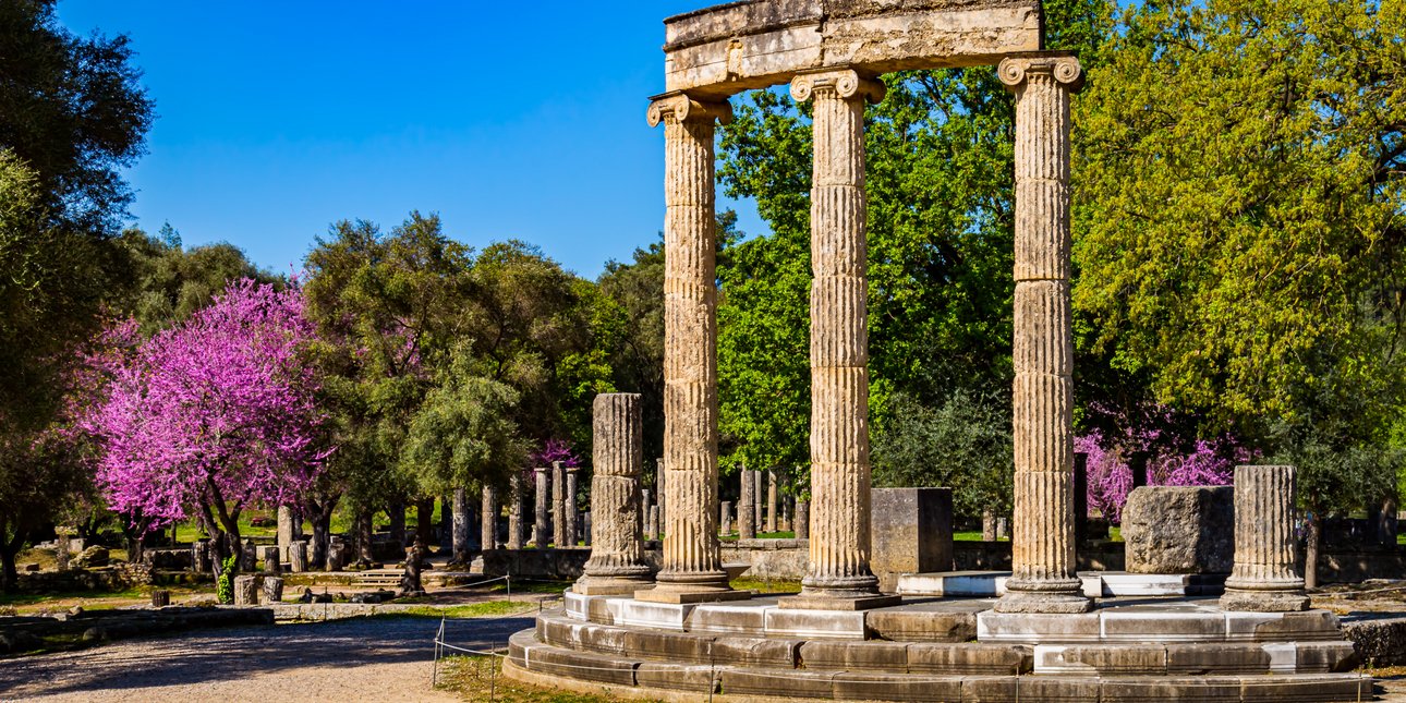 Οι κουτσουπιές άνθισαν: Το δέντρο με τα εντυπωσιακά μωβ άνθη που κατακλύζει ελληνικές πόλεις και χωριά -Η μακρά ιστορία του